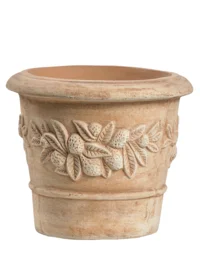 Terracotta | Køb terracotta krukker online | Plantorama